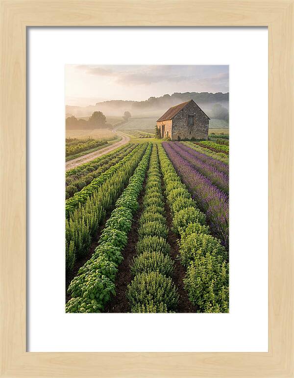 Herb Garden Tranquility