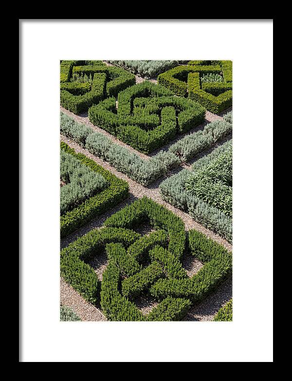 Herb Knot Garden