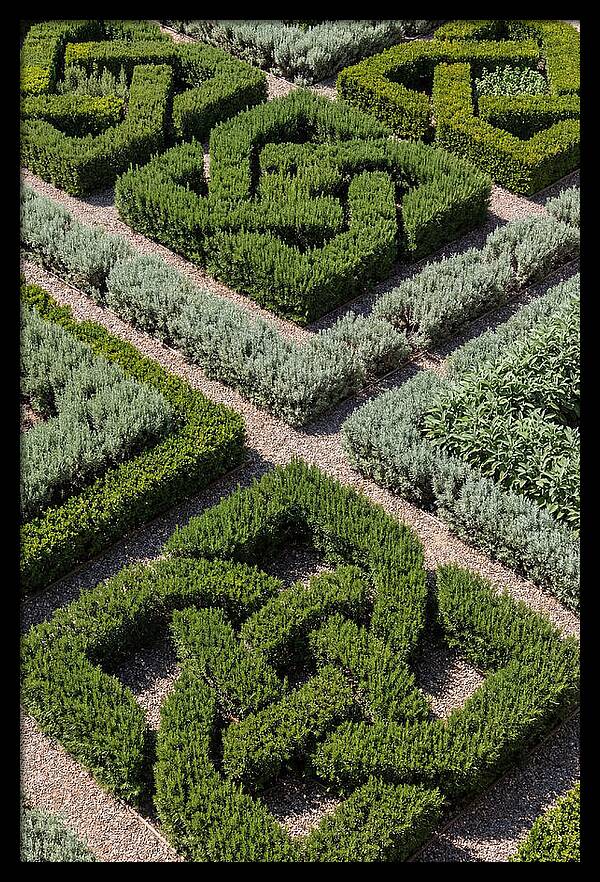 Herb Knot Garden