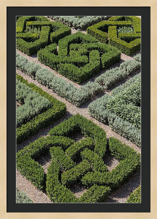 Herb Knot Garden