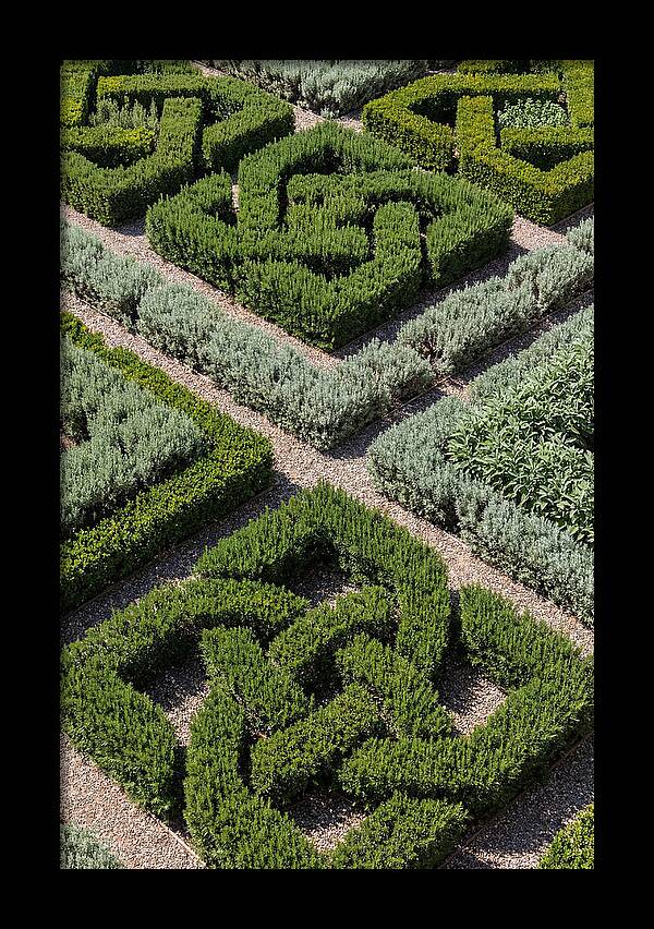 Herb Knot Garden