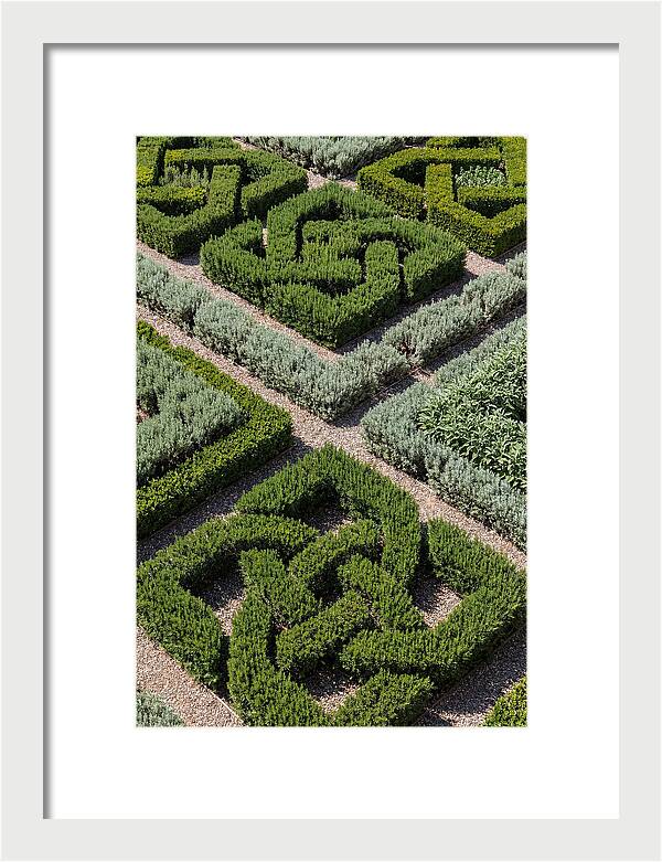 Herb Knot Garden