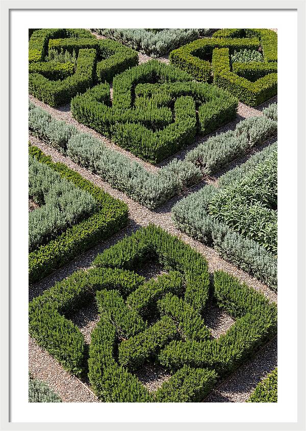 Herb Knot Garden