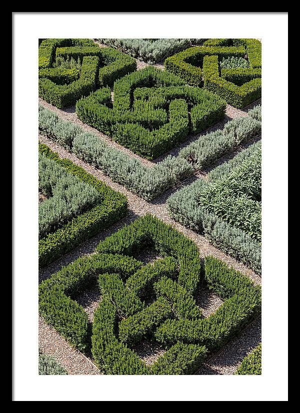 Herb Knot Garden