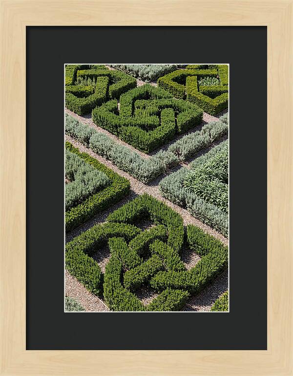 Herb Knot Garden
