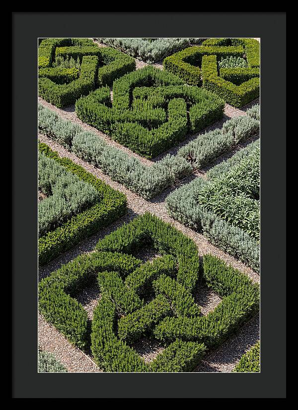 Herb Knot Garden