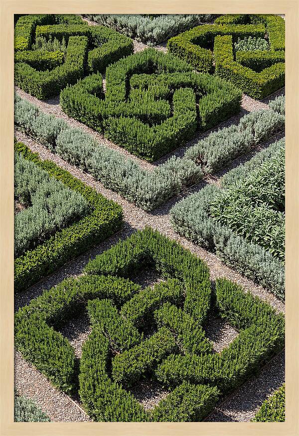 Herb Knot Garden