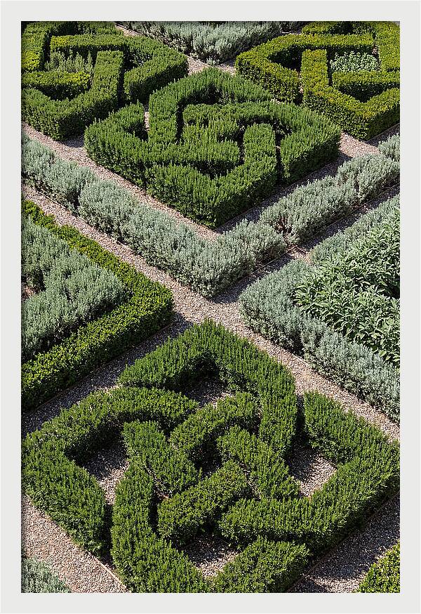 Herb Knot Garden