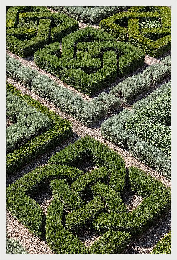 Herb Knot Garden