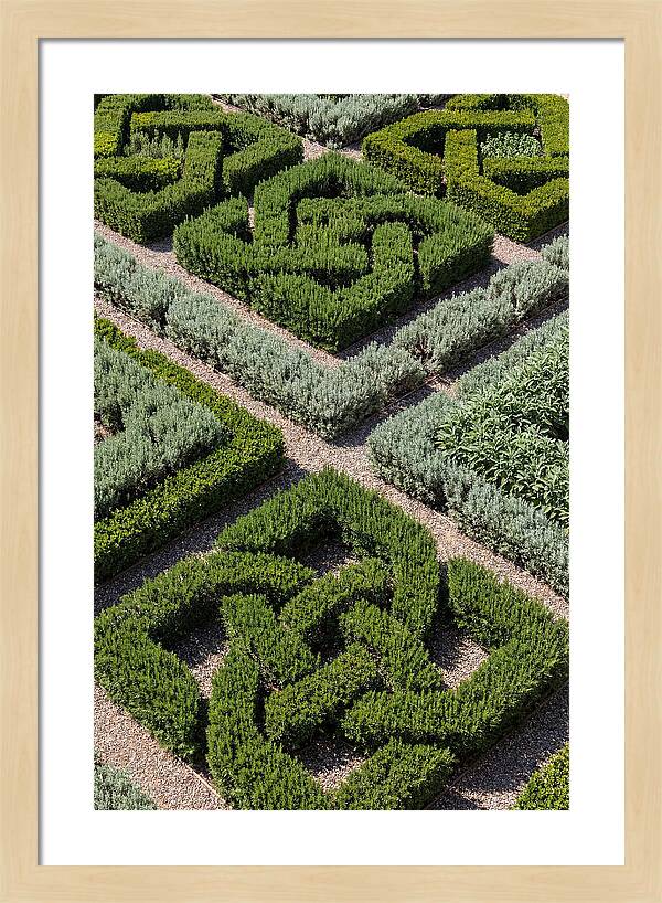 Herb Knot Garden
