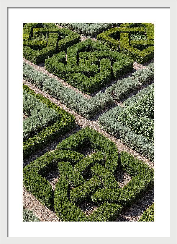 Herb Knot Garden