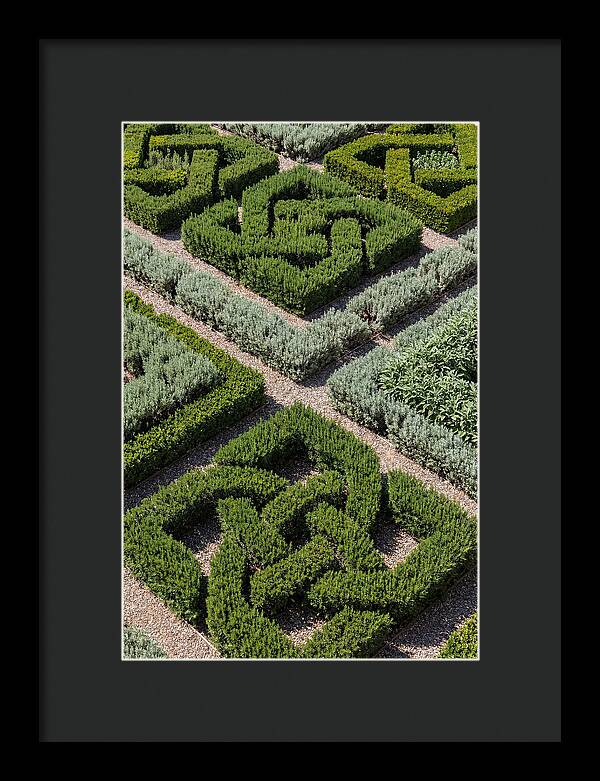 Herb Knot Garden