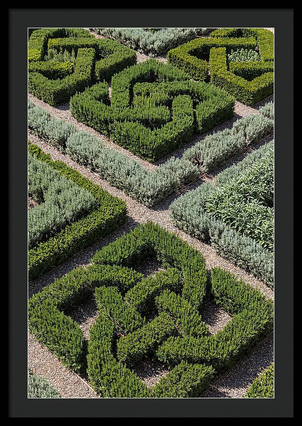 Herb Knot Garden