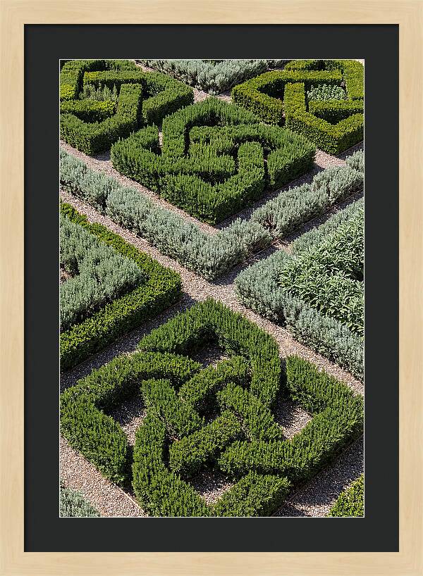 Herb Knot Garden