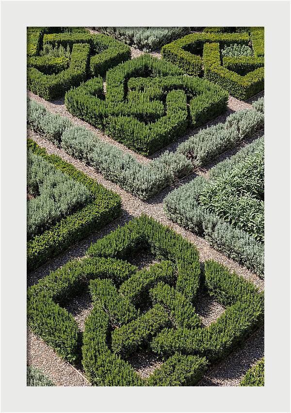 Herb Knot Garden