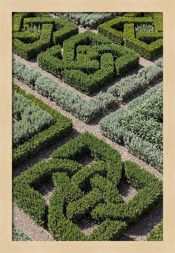 Herb Knot Garden
