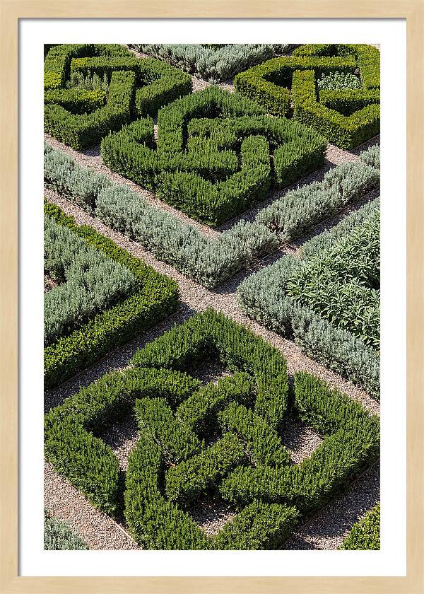 Herb Knot Garden