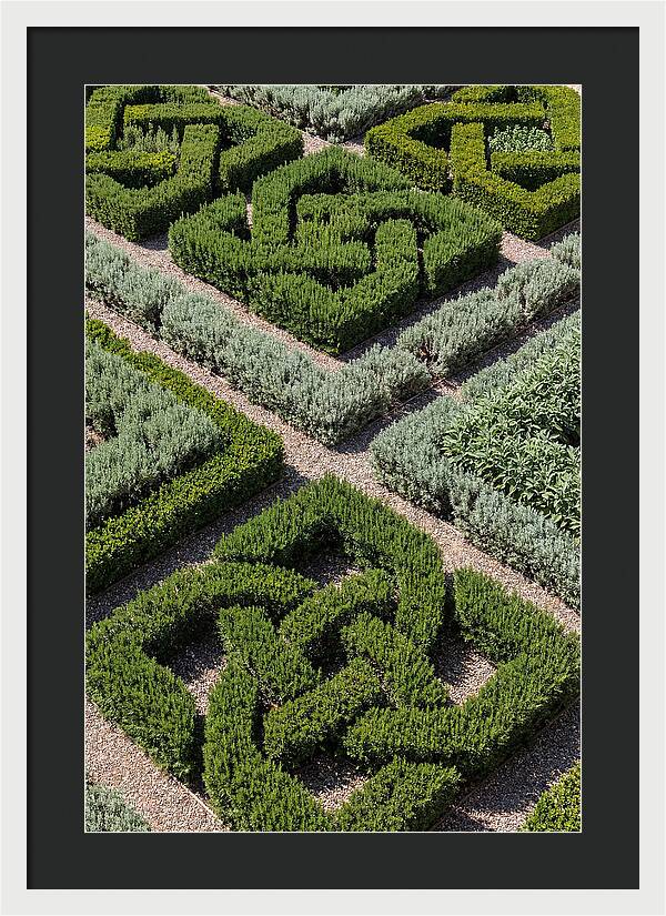Herb Knot Garden