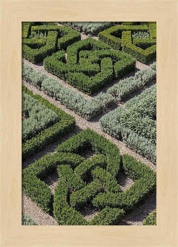 Herb Knot Garden