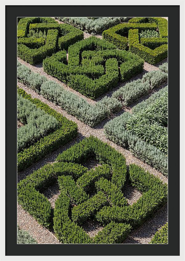 Herb Knot Garden