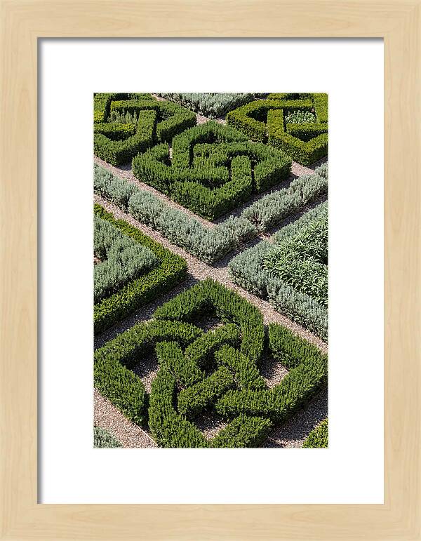 Herb Knot Garden