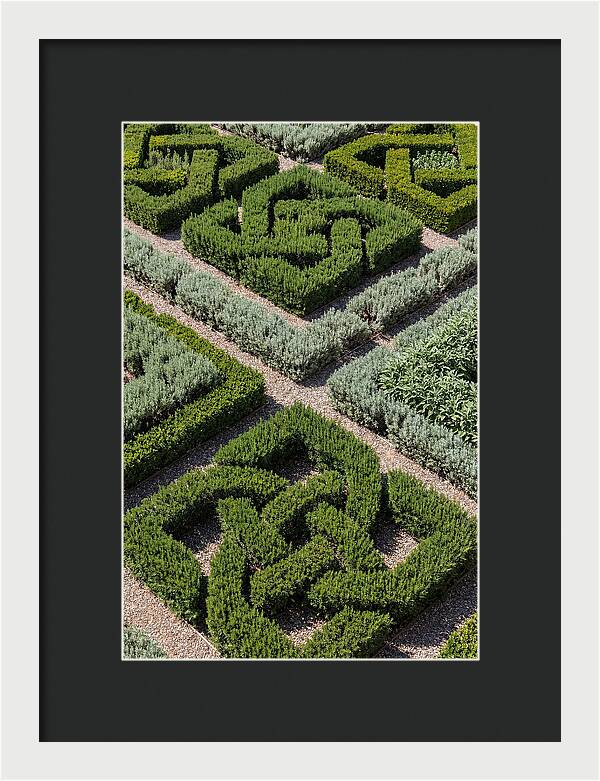 Herb Knot Garden