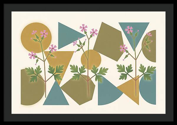 Herb Robert Cranesbill