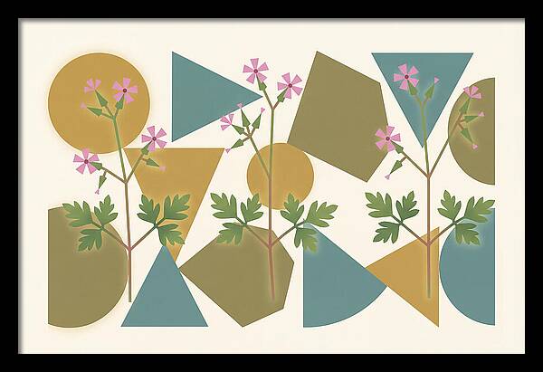 Herb Robert Cranesbill