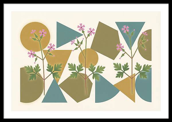 Herb Robert Cranesbill