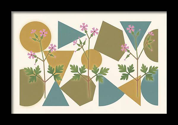 Herb Robert Cranesbill