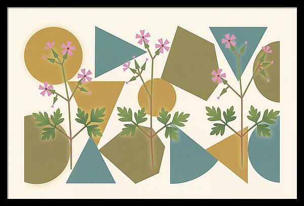 Herb Robert Cranesbill