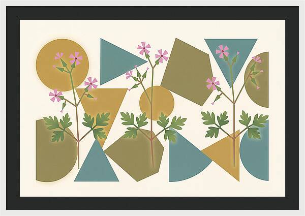 Herb Robert Cranesbill