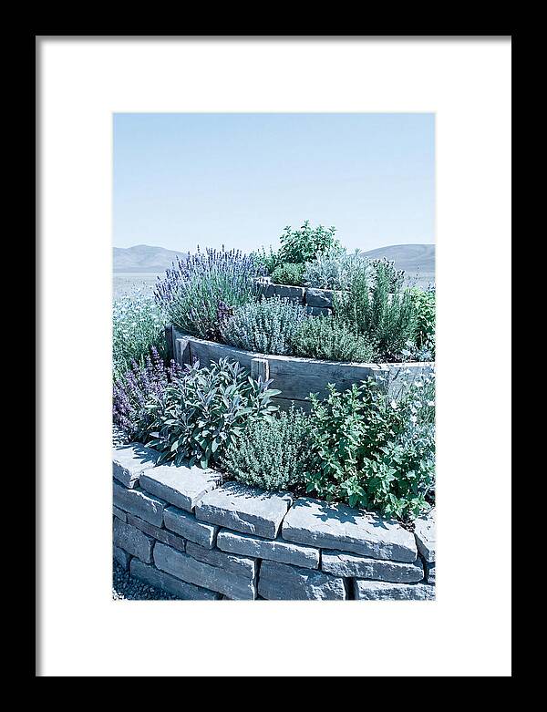 Herb Spiral Garden