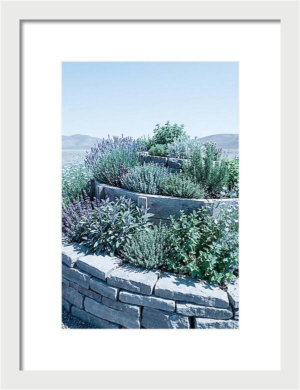 Herb Spiral Garden