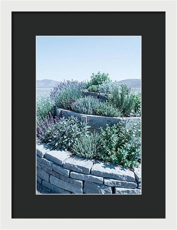 Herb Spiral Garden