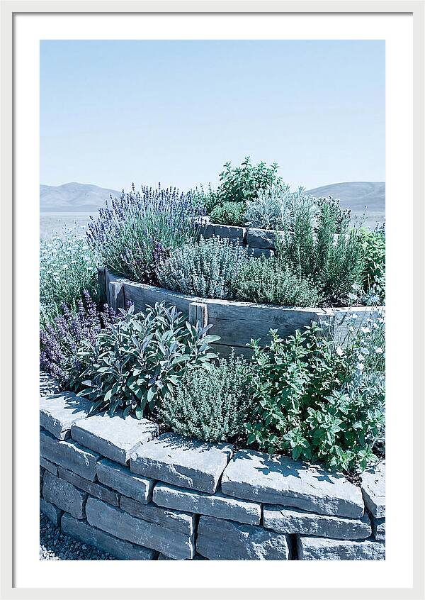 Herb Spiral Garden