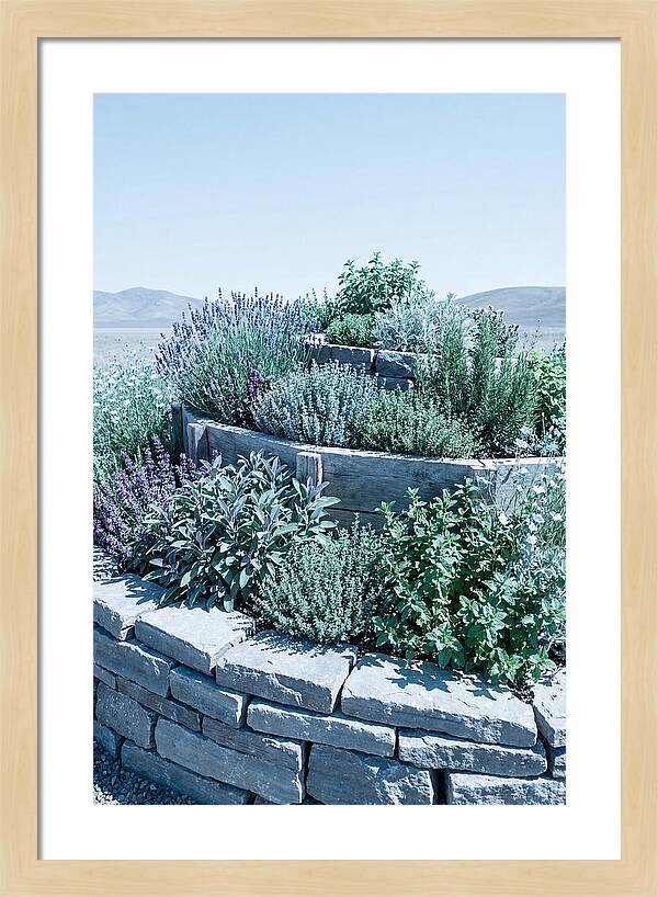 Herb Spiral Garden