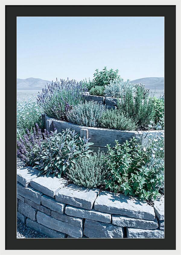 Herb Spiral Garden