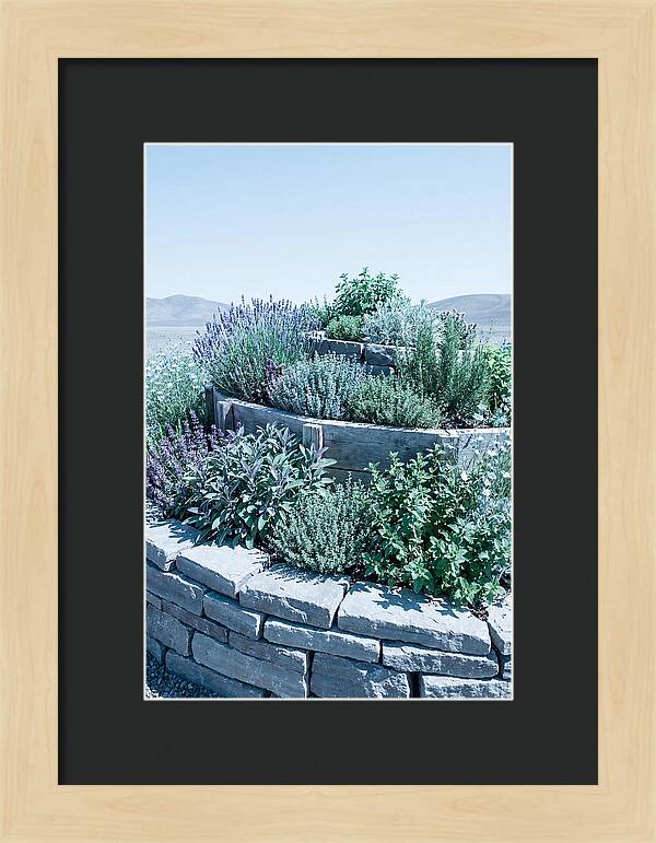 Herb Spiral Garden