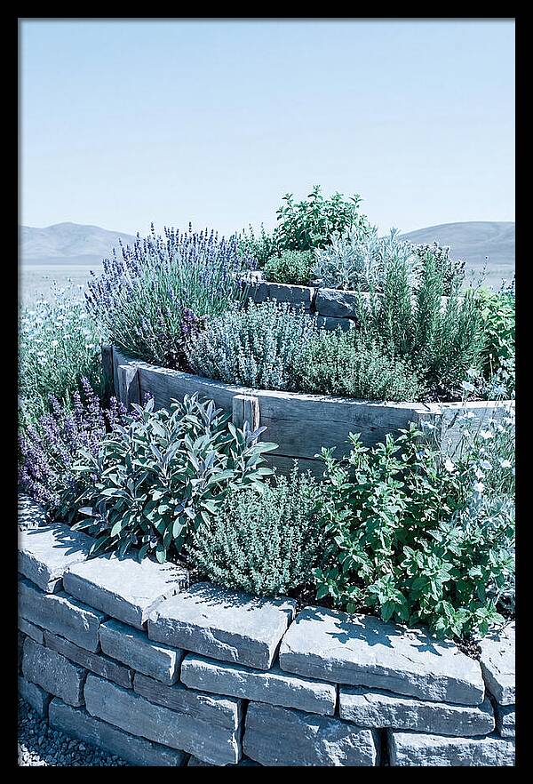 Herb Spiral Garden