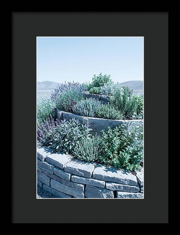 Herb Spiral Garden