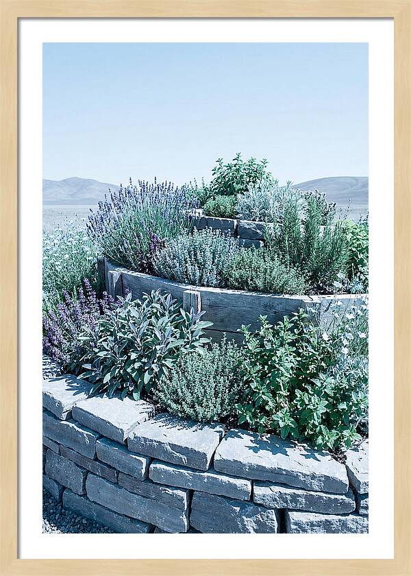 Herb Spiral Garden