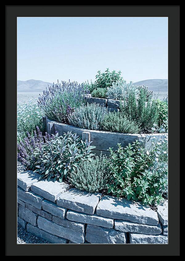 Herb Spiral Garden