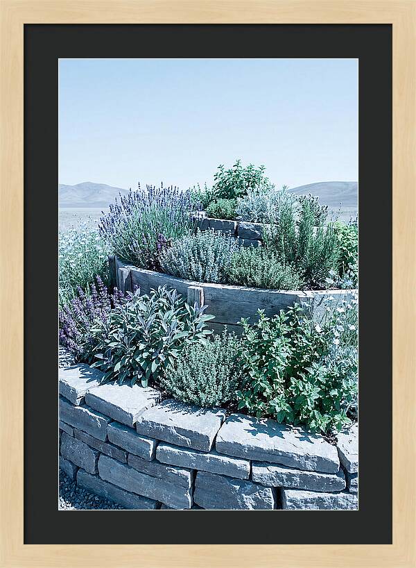 Herb Spiral Garden