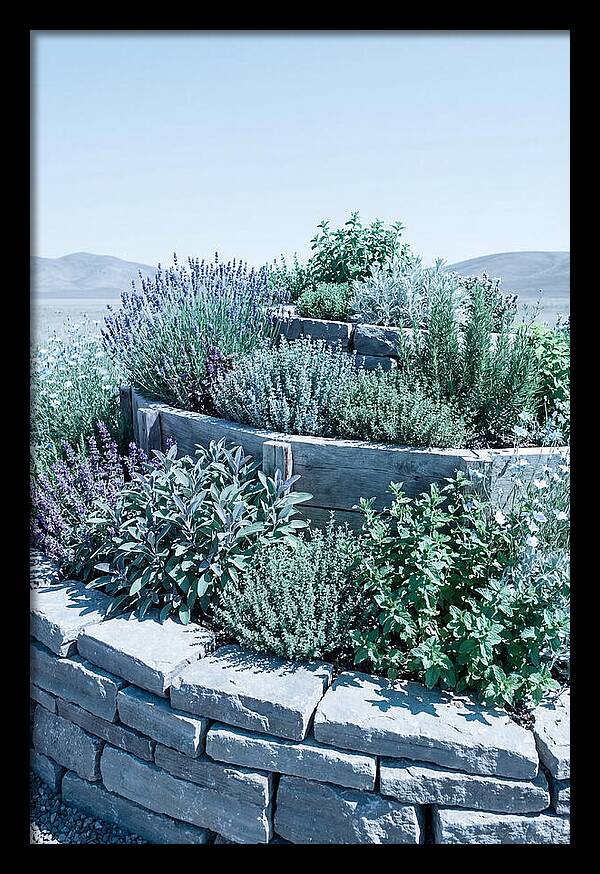 Herb Spiral Garden