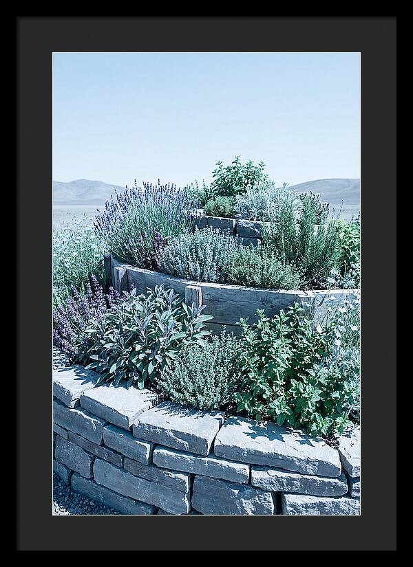Herb Spiral Garden