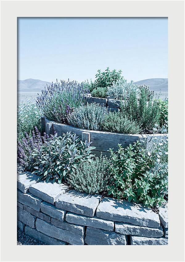 Herb Spiral Garden