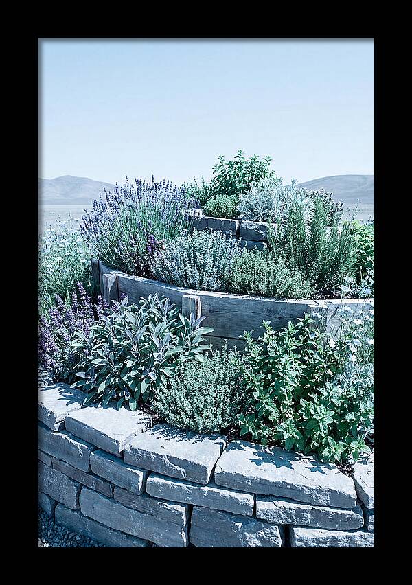 Herb Spiral Garden