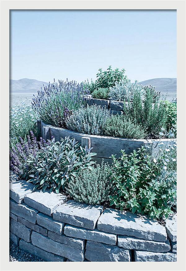 Herb Spiral Garden