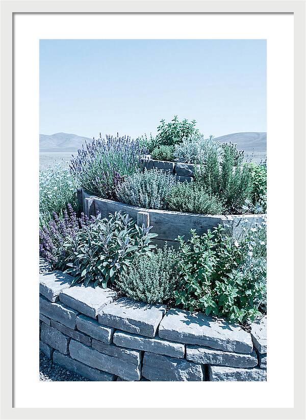 Herb Spiral Garden
